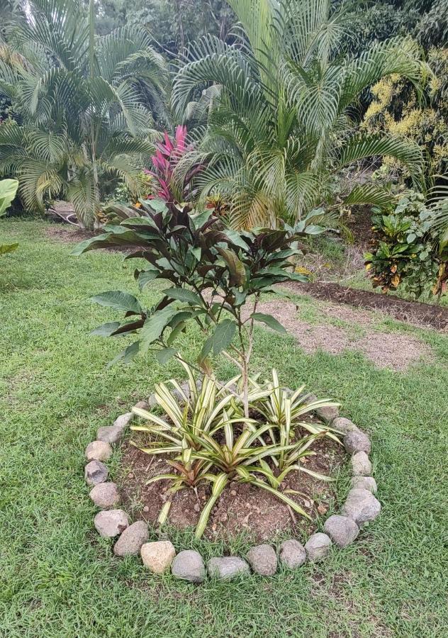 Bencastle Villa Gros Islet Exterior foto